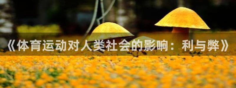 谈球吧