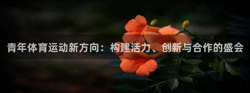 谈球吧