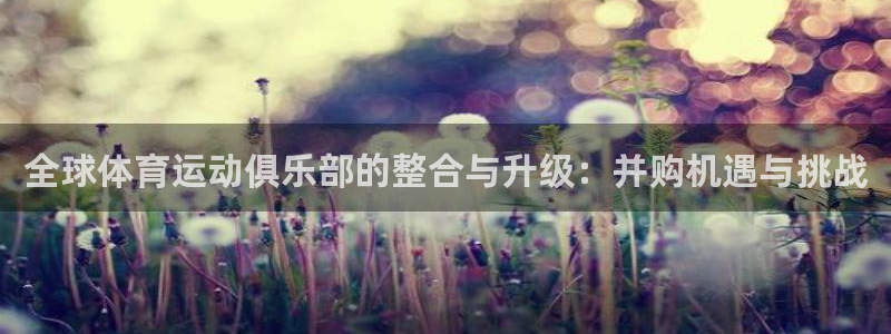谈球吧：全球体育运动俱乐部的整合与升级：并购机遇与挑战