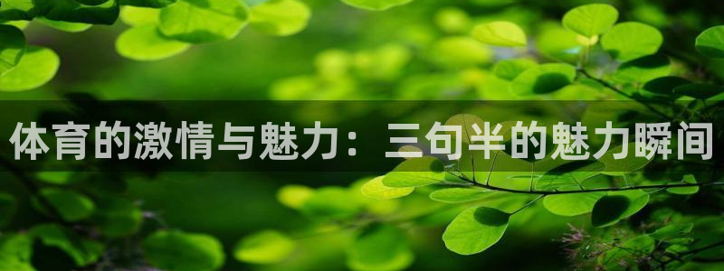 谈球吧体育官网