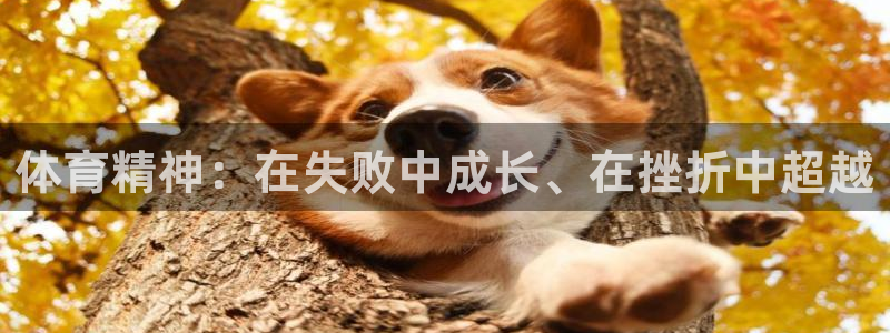 谈球吧体育官网：体育精神：在失败中成长、在挫折中超越