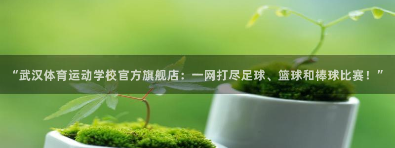 谈球吧体育官网：“武汉体育运动学校官方旗舰店：一网打尽足球、篮球和棒球比赛！”