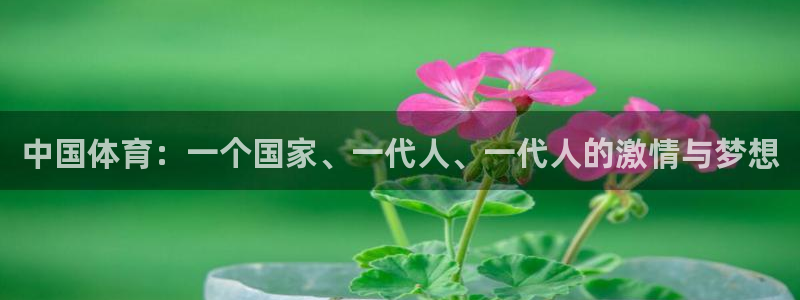 谈球吧