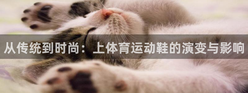 谈球吧体育