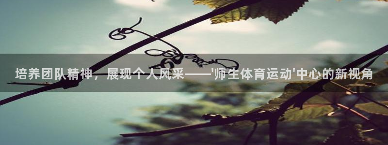 谈球吧：培养团队精神，展现个人风采——\'师生体育运动\'中心的新视角