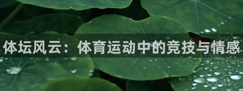 谈球吧体育官网：体坛风云：体育运动中的竞技与情感